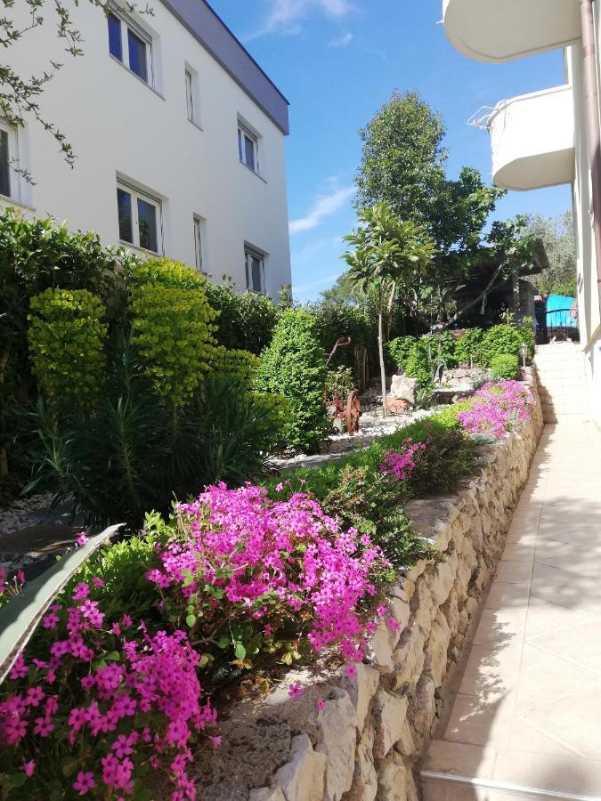 Villa Maslina Zadar Extérieur photo
