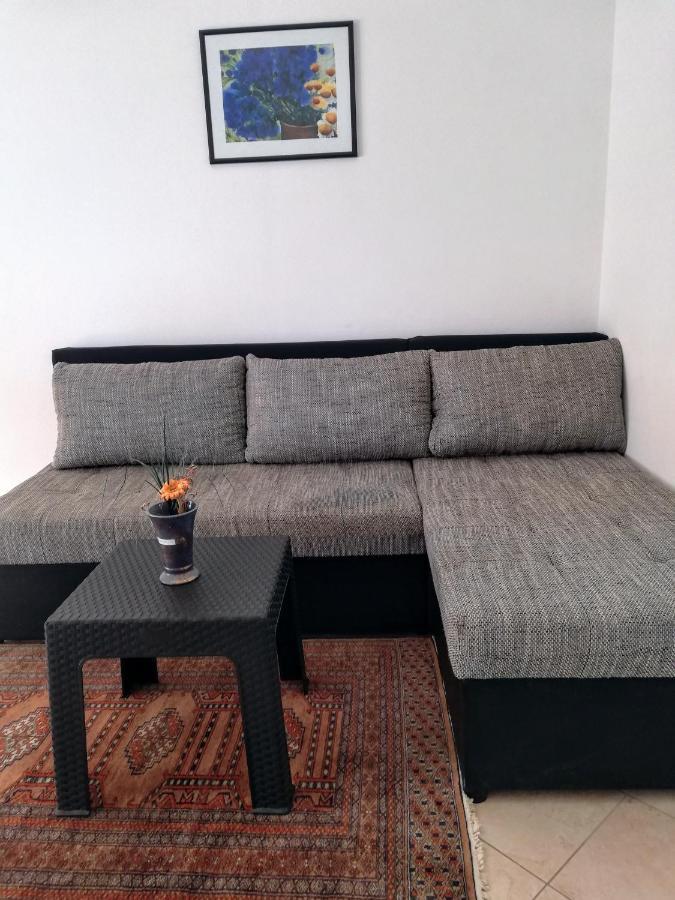 Villa Maslina Zadar Extérieur photo
